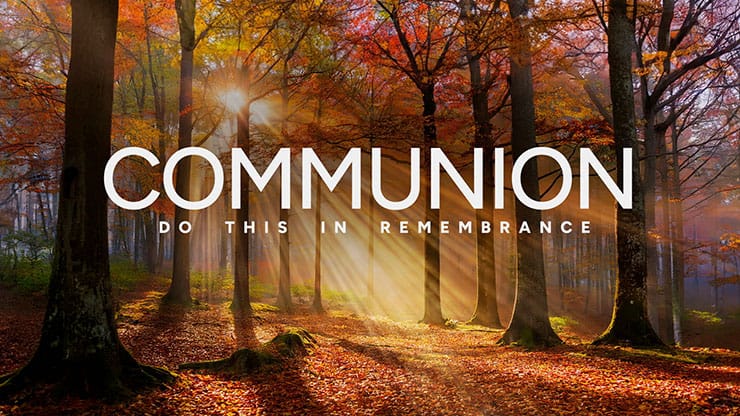 Autumn Light Collection: Autumn Light Communion