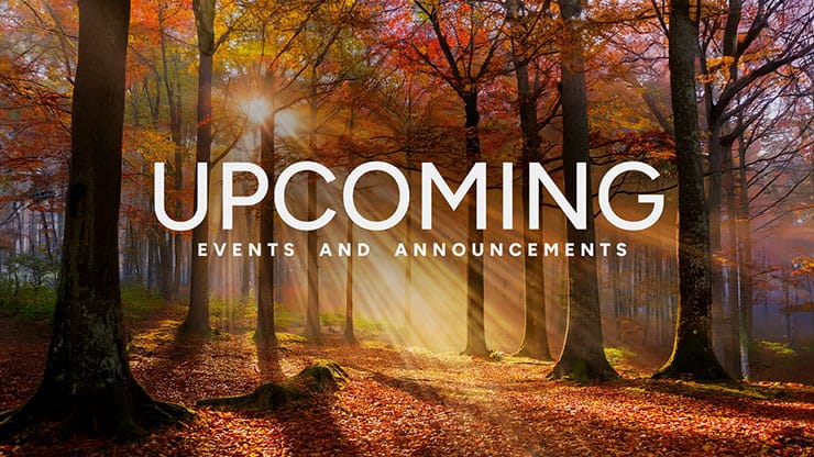 Autumn Light Collection: Autumn Light Upcoming