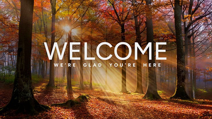 Autumn Light Collection: Autumn Light Welcome