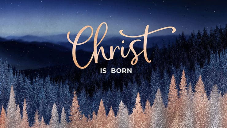 Sparkling Trees Collection: Sparkling Trees Christ is Born