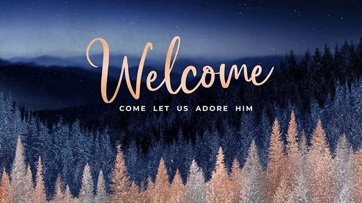 Sparkling Trees Collection: Sparkling Trees Christmas Welcome