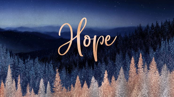 Sparkling Trees Collection: Sparkling Trees Hope
