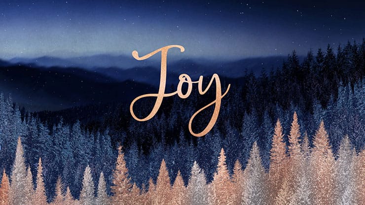 Sparkling Trees Collection: Sparkling Trees Joy