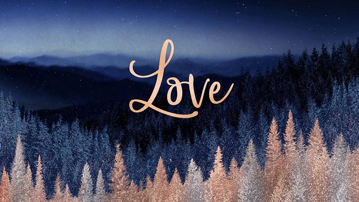 Sparkling Trees Collection: Sparkling Trees Love