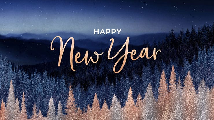 Sparkling Trees Collection: Sparkling Trees New Year