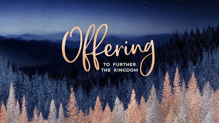 Sparkling Trees Collection: Sparkling Trees Offering
