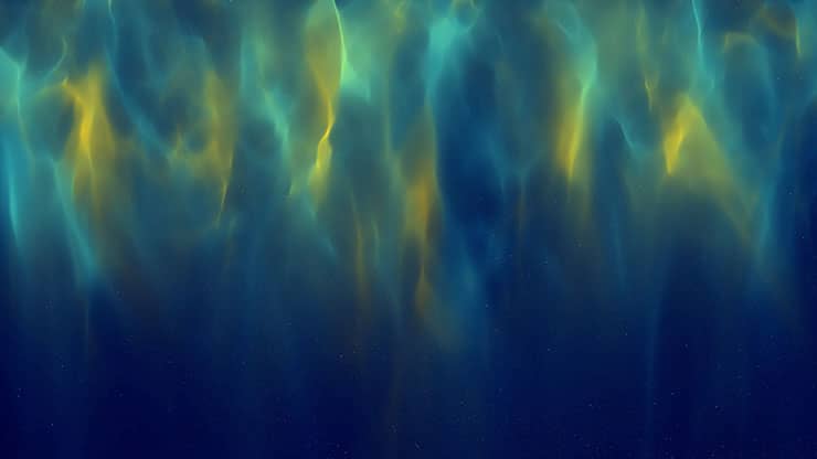 Christmas Wonder Collection: Christmas Wonder 10 Motion