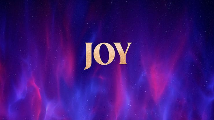 Christmas Wonder Collection: Christmas Wonder Joy