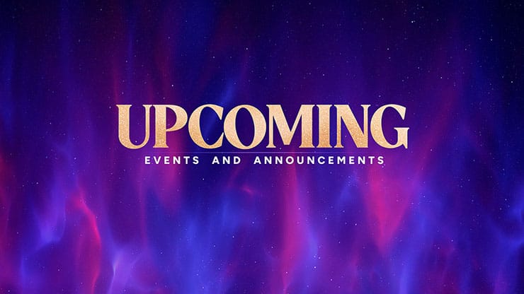 Christmas Wonder Collection: Christmas Wonder Upcoming