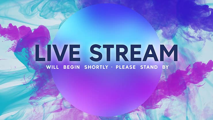 Easter Haze Collection: Easter Haze Live Stream