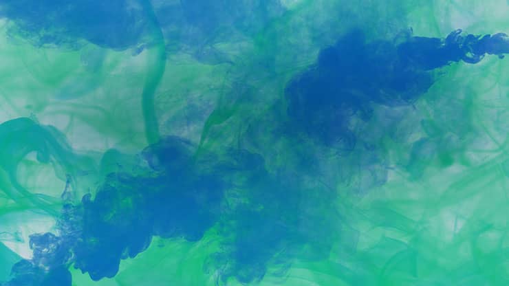 Palm Sunday Haze Collection: Palm Sunday Haze 1 Still