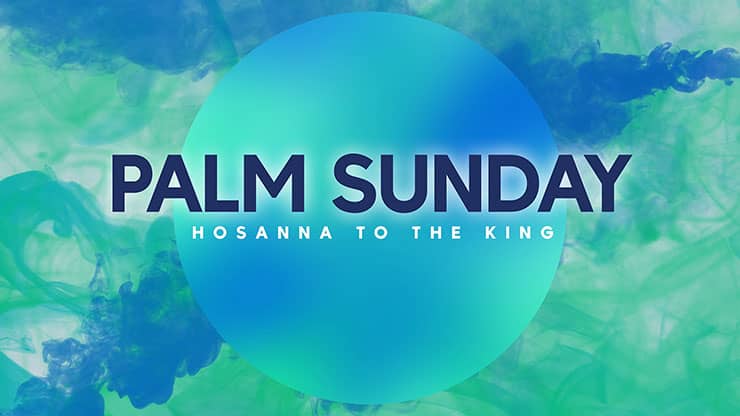 Palm Sunday Haze Collection: Palm Sunday Haze Title