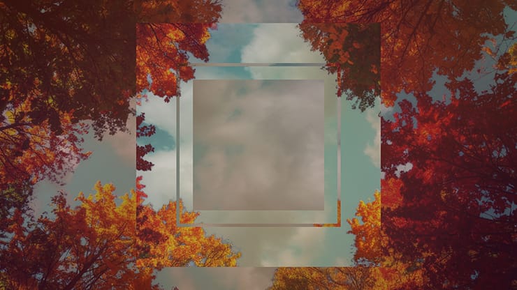 Fall Trees Collection: Fall Trees 3 Remix Motion