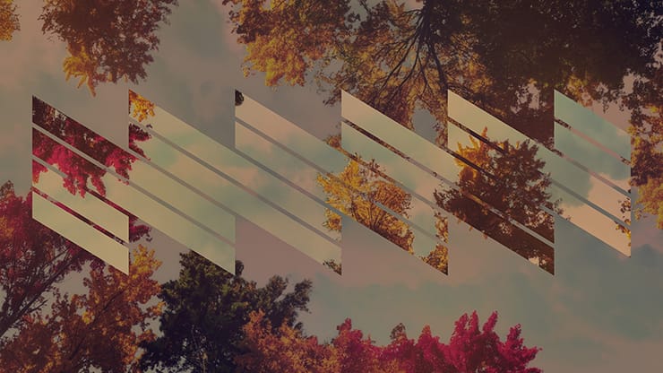 Fall Trees Collection: Fall Trees 5 Remix Still