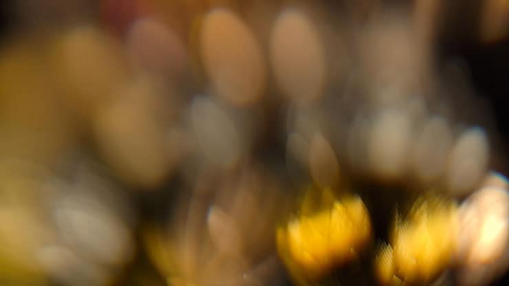 Christmas Ornamental Collection: Christmas Ornamental 11 Motion