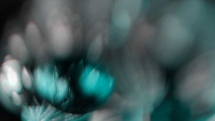 Christmas Ornamental Collection: Christmas Ornamental 12 Still