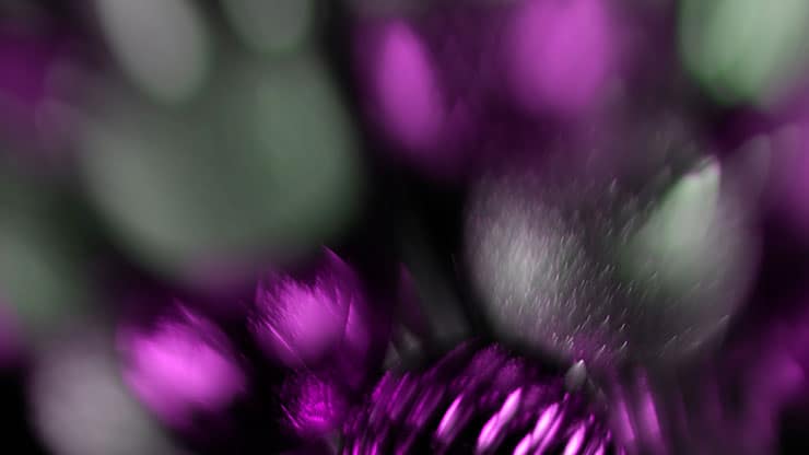 Christmas Ornamental Collection: Christmas Ornamental 16 Motion