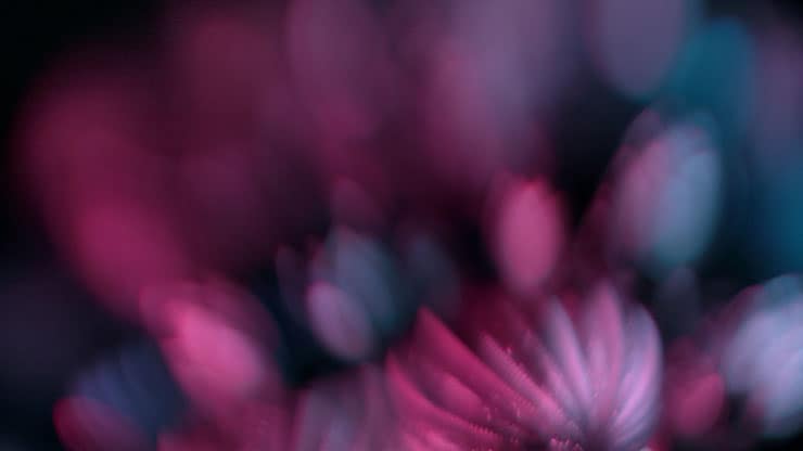 Christmas Ornamental Collection: Christmas Ornamental 1 Motion