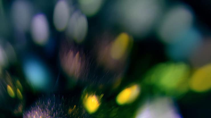 Christmas Ornamental Collection: Christmas Ornamental 20 Still