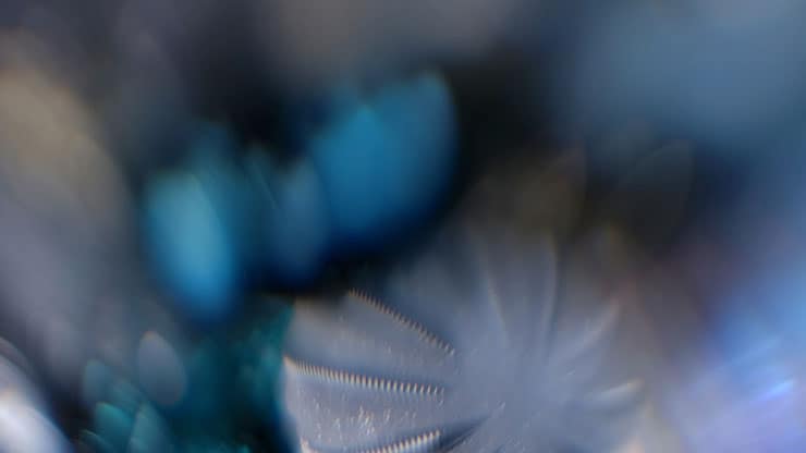 Christmas Ornamental Collection: Christmas Ornamental 3 Motion