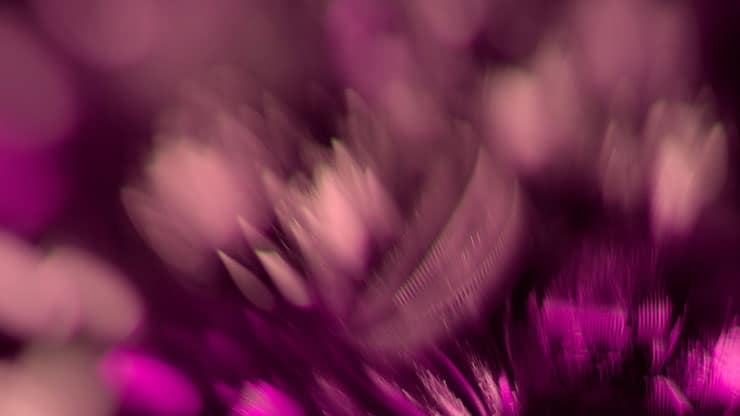 Christmas Ornamental Collection: Christmas Ornamental 8 Motion