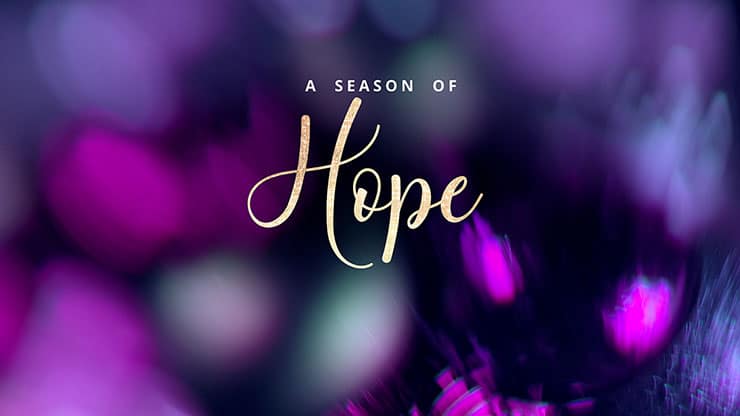 Christmas Ornamental Collection: Christmas Ornamental Hope