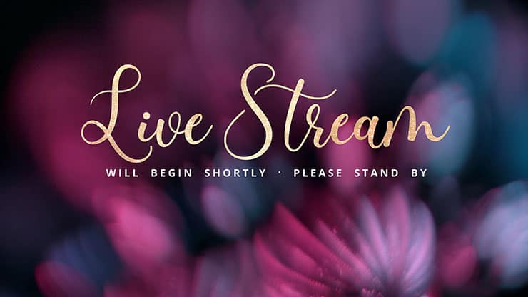 Christmas Ornamental Collection: Christmas Ornamental Live Stream