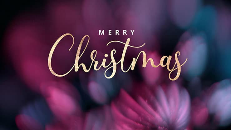 Christmas Ornamental Collection: Christmas Ornamental Merry Christmas