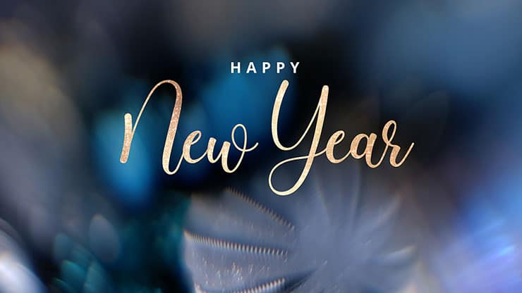 Christmas Ornamental Collection: Christmas Ornamental New Year