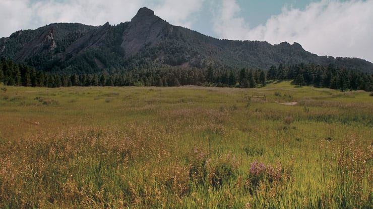 Flatirons Collection: Flatirons Grass