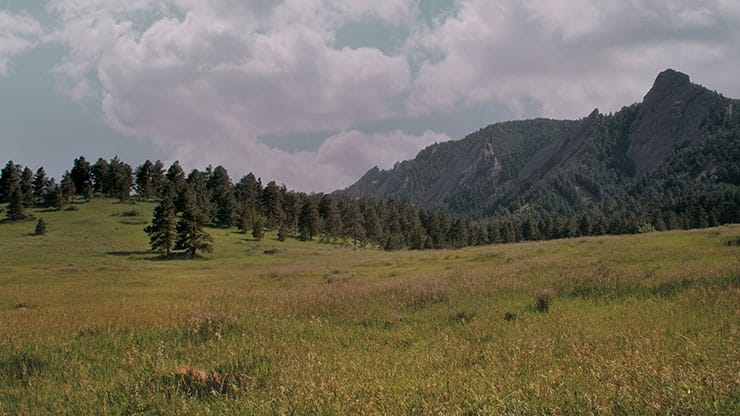 Flatirons Collection: Flatirons Life