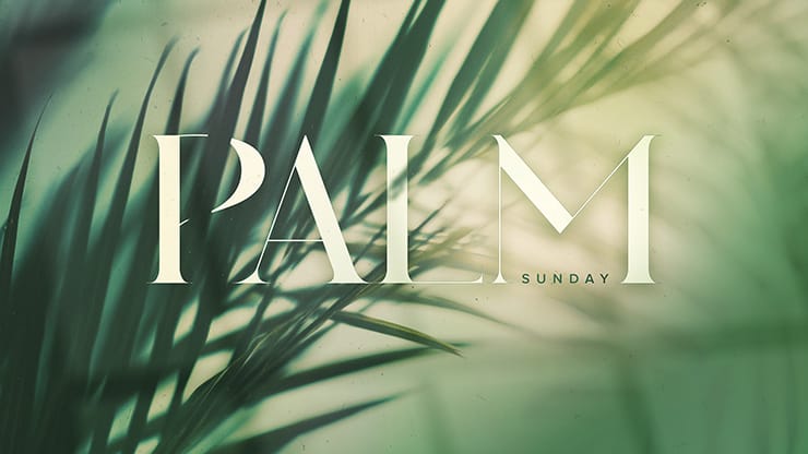 Palm Sunday - Green Palm Branches Title: Title Graphics