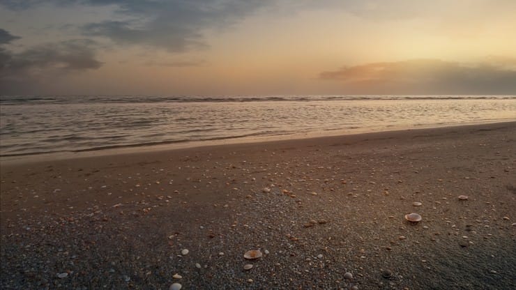 Summer Breeze Collection: Summer Breeze Sunset Still