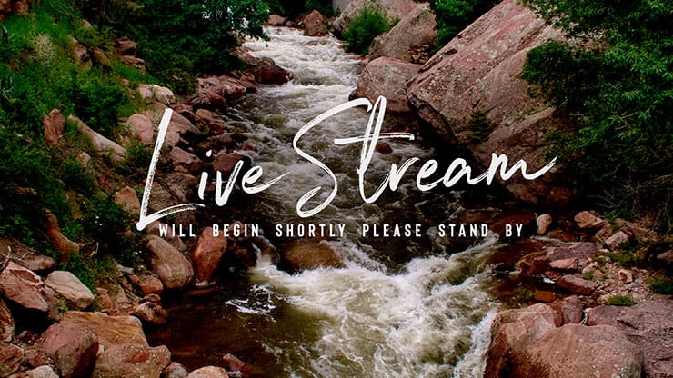 El Dorado Collection: Live Stream Motion