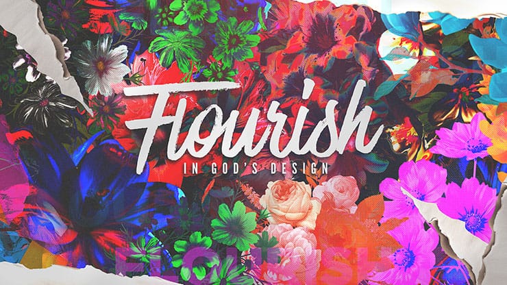 Flourish: Title Graphic
