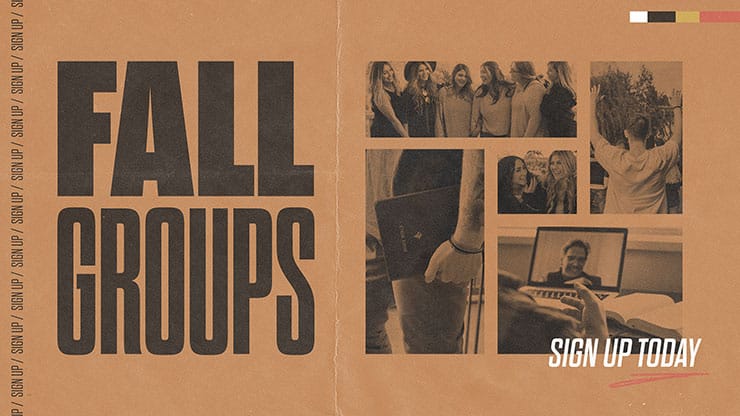 Fall Groups: Title Graphic