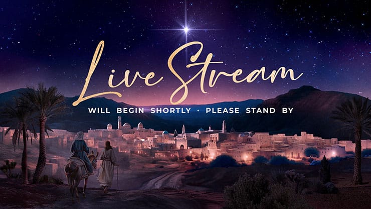 Christmas Journey Collection: Christmas Journey Live Stream