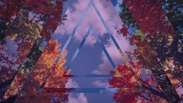 Fall Trees Collection: Fall Trees 6 Remix Motion