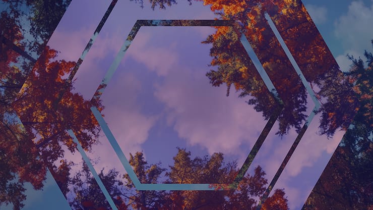 Fall Trees Collection: Fall Trees 8 Remix Motion
