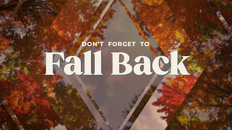 Fall Trees Collection: Fall Trees Fall Back