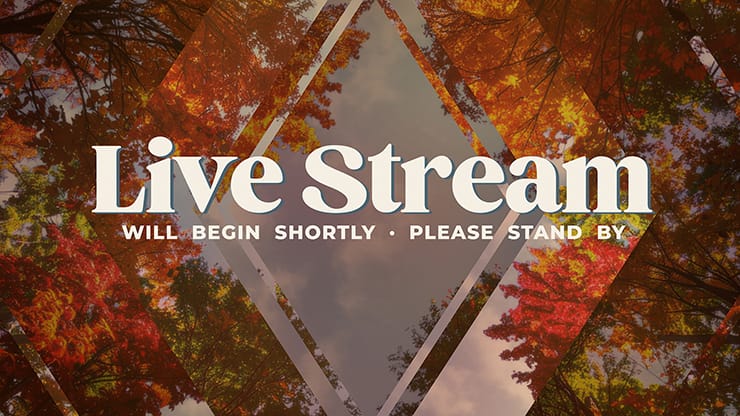 Fall Trees Collection: Fall Trees Live Stream