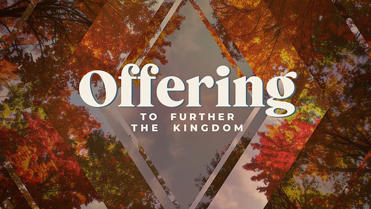 Fall Trees Collection: Fall Trees Offering