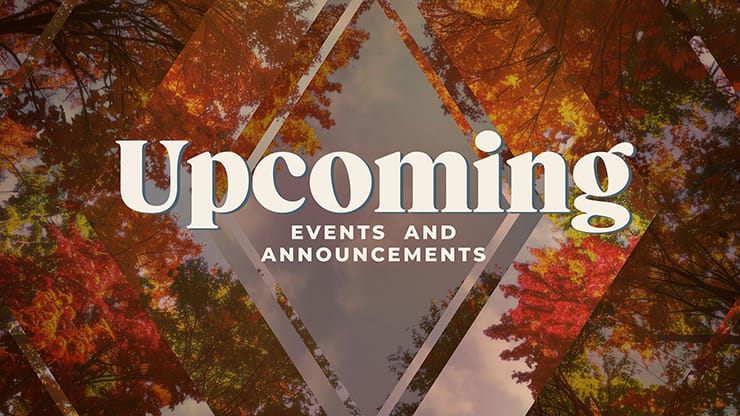 Fall Trees Collection: Fall Trees Upcoming
