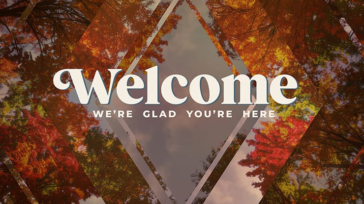 Fall Trees Collection: Fall Trees Welcome