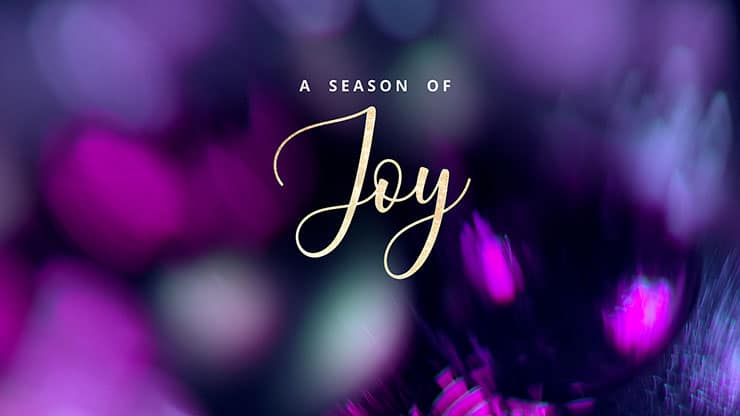 Christmas Ornamental Collection: Christmas Ornamental Joy