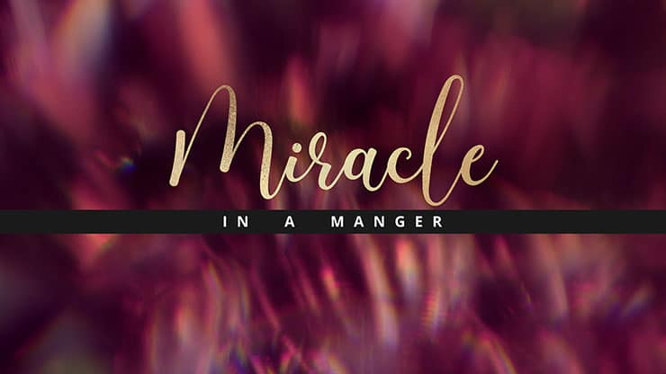 Christmas Ornamental Collection: Christmas Ornamental Miracle