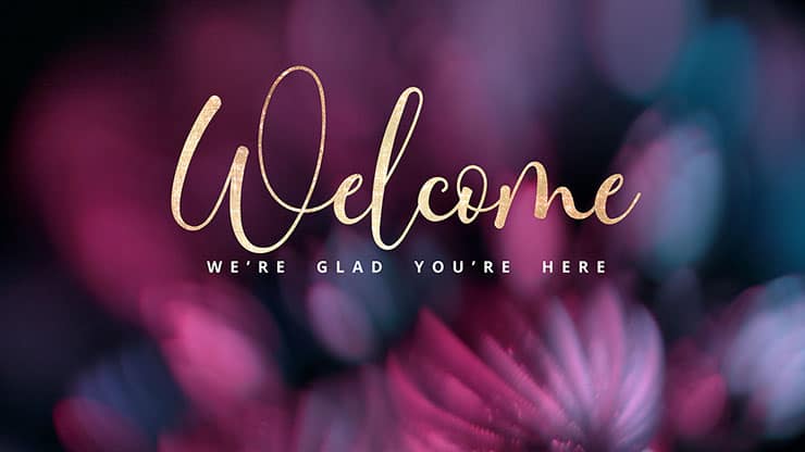 Christmas Ornamental Collection: Christmas Ornamental Welcome