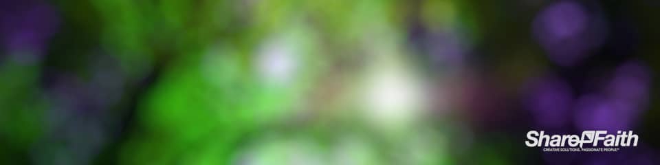 Leafy Green Bokeh Triple Wide Motion Background