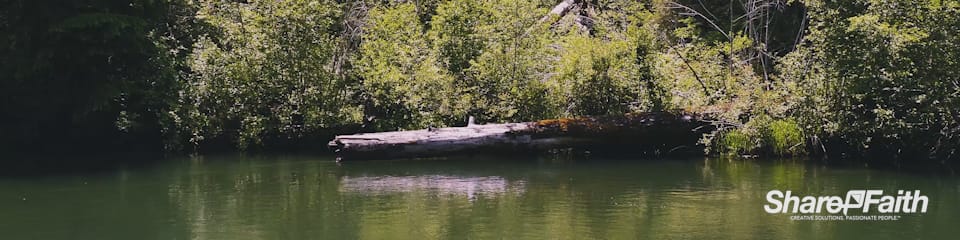Log Creek Multi Screen Nature Motion Background
