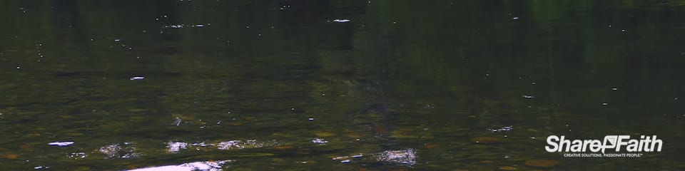 Serene River Triple Wide Nature Motion Graphic
